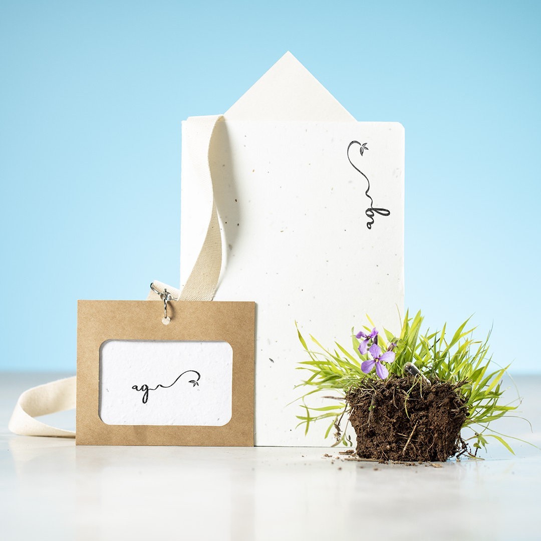 Identificador Semillas Binem