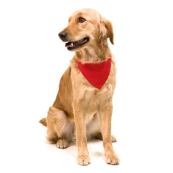 Collar Bandana Roco