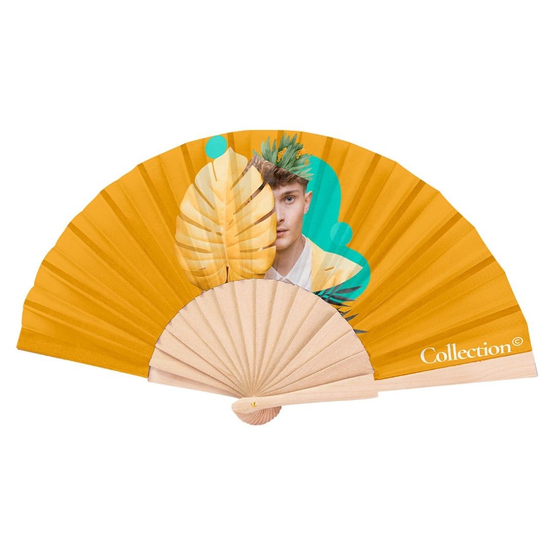 Abanico Japura (Transporte aéreo)