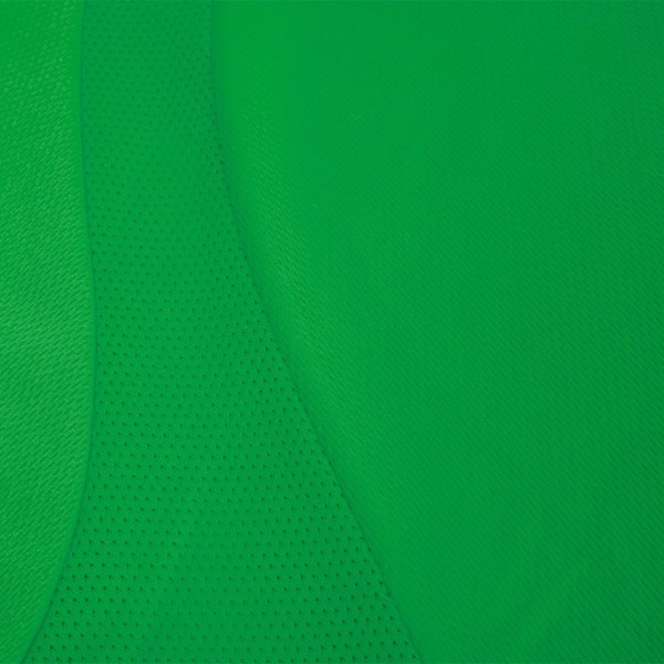 Camiseta Adulto Tecnic Sappor