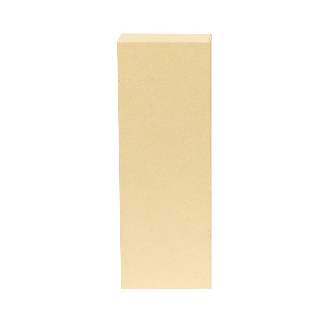 Puntero Láser Presentador Lesi