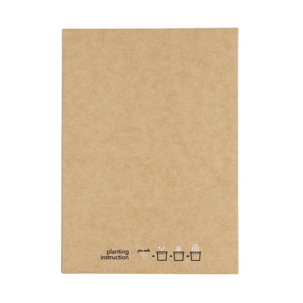 Postal Adorno Astrox