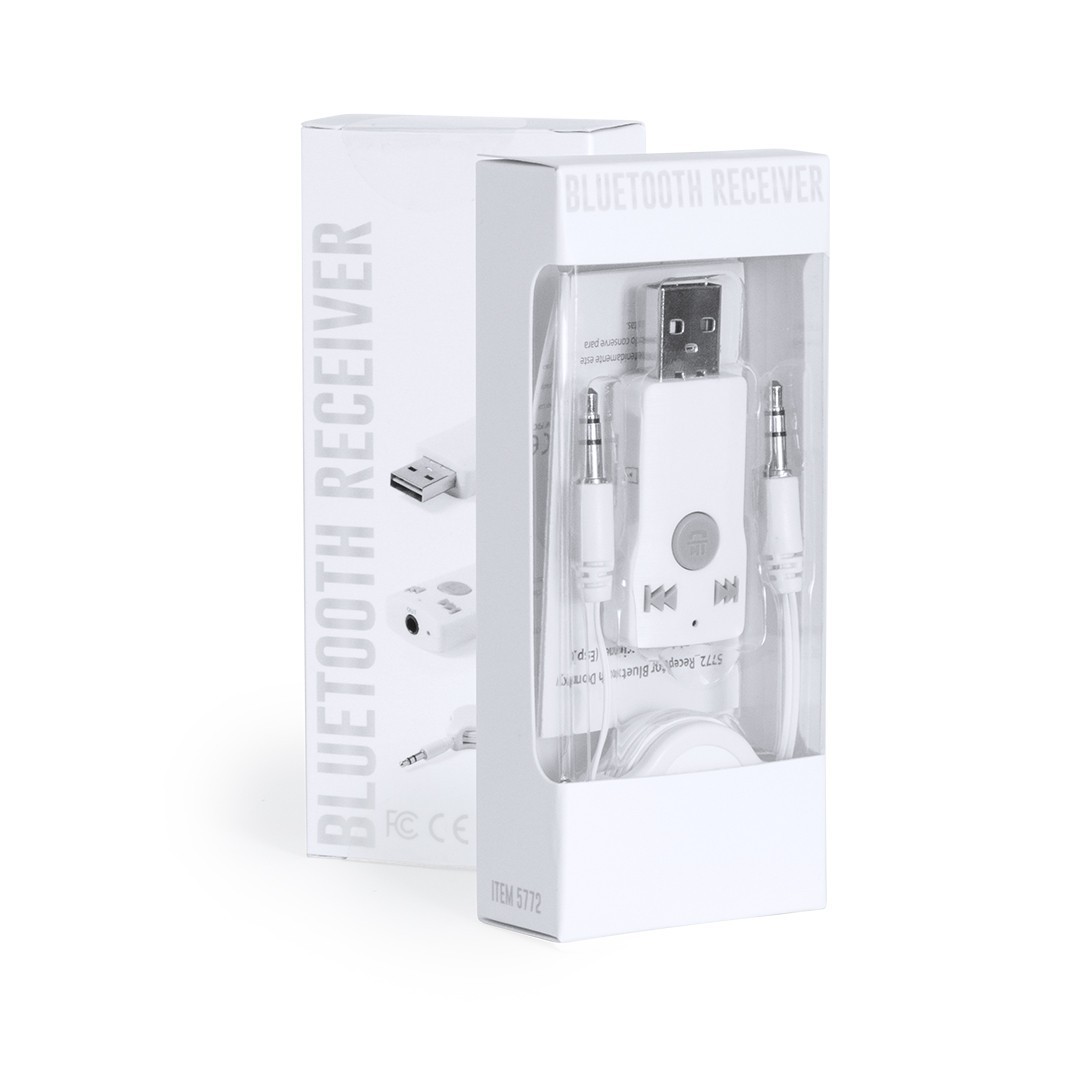 Receptor Bluetooth Domky