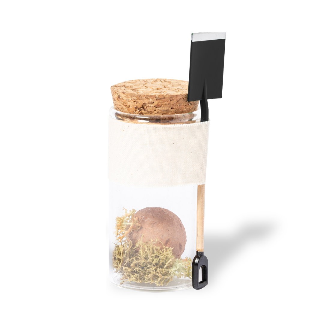 Bombón Semillas Winsu - 1932AS/T - 1932 MKT