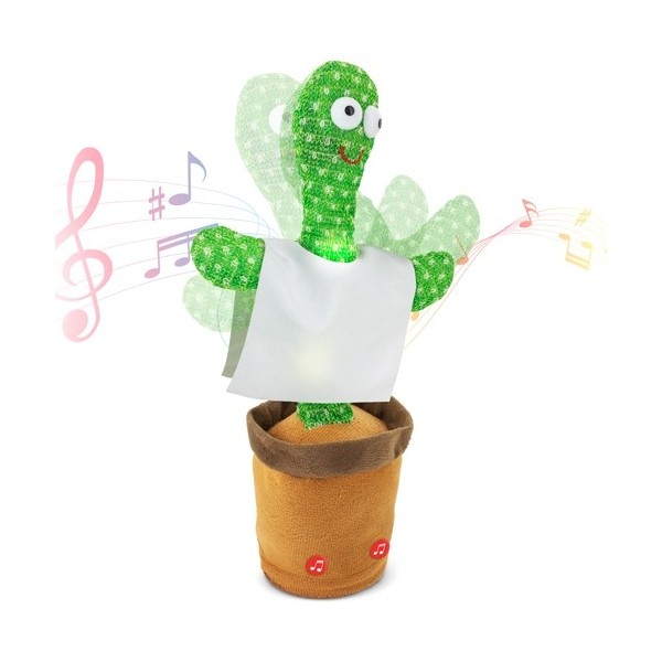 Cactus Bailarín PANCHITO