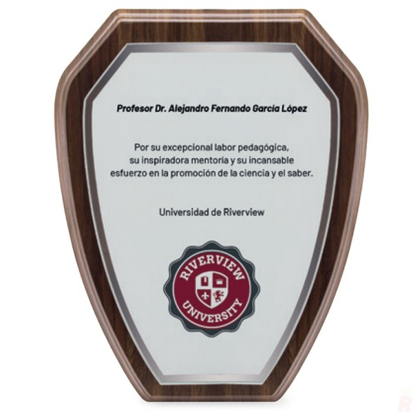 Metopa Moderna Sublimación RAFI - Ref. Z-9503 Cifra 2