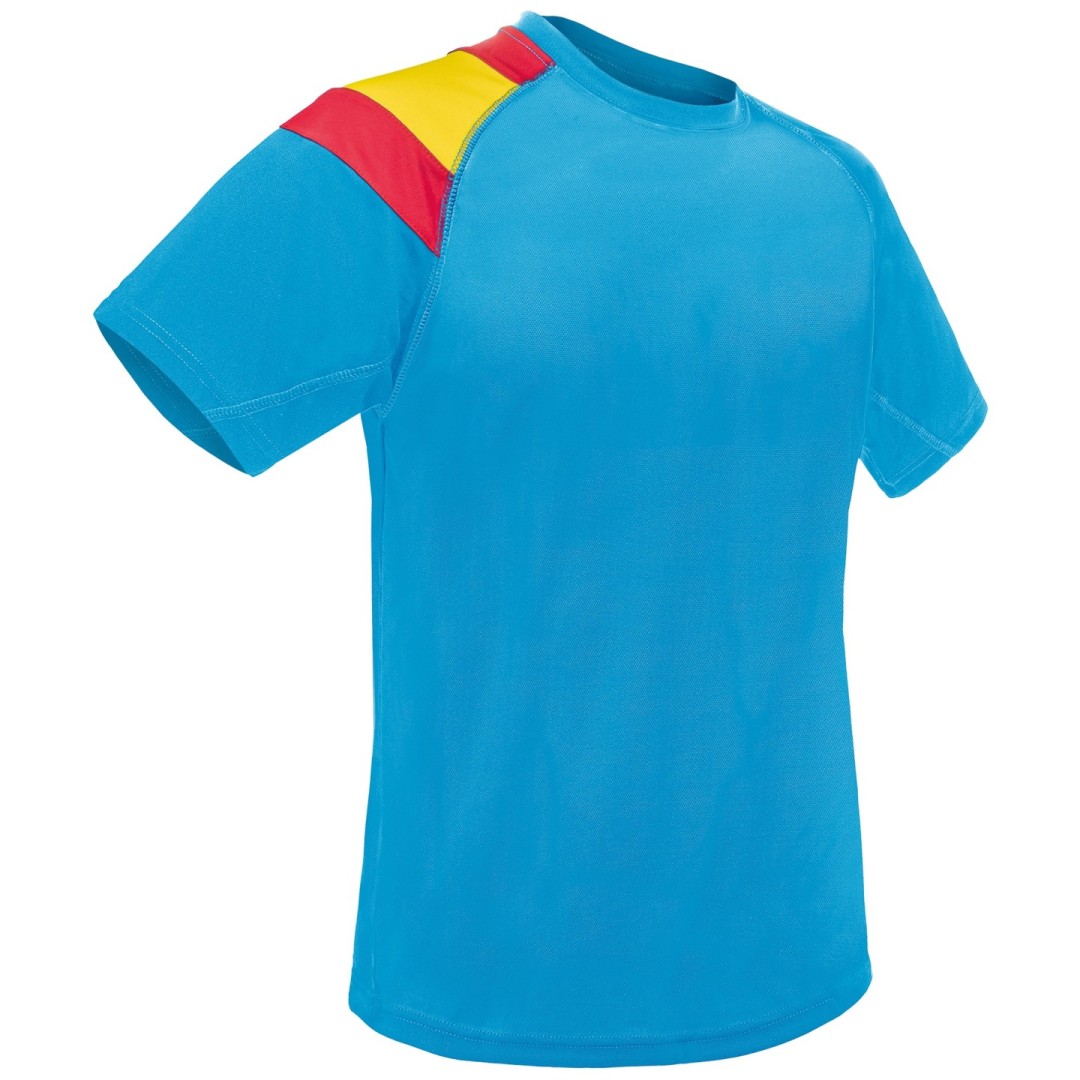 Camiseta Técnica Bandera D&F GALDANA
