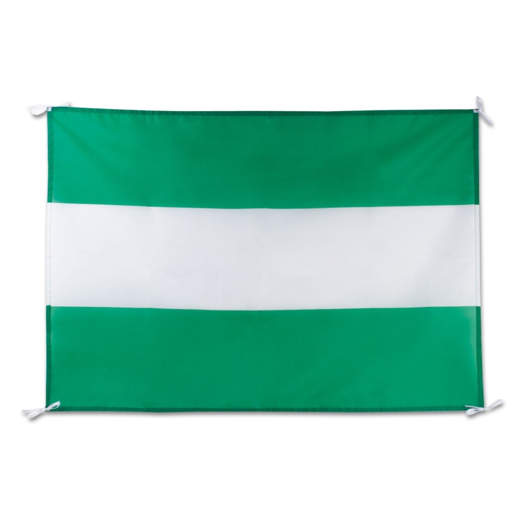 Bandera Fiesta REGIÓN