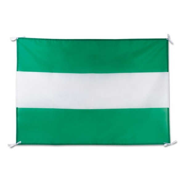 Bandera Fiesta REGIÓN