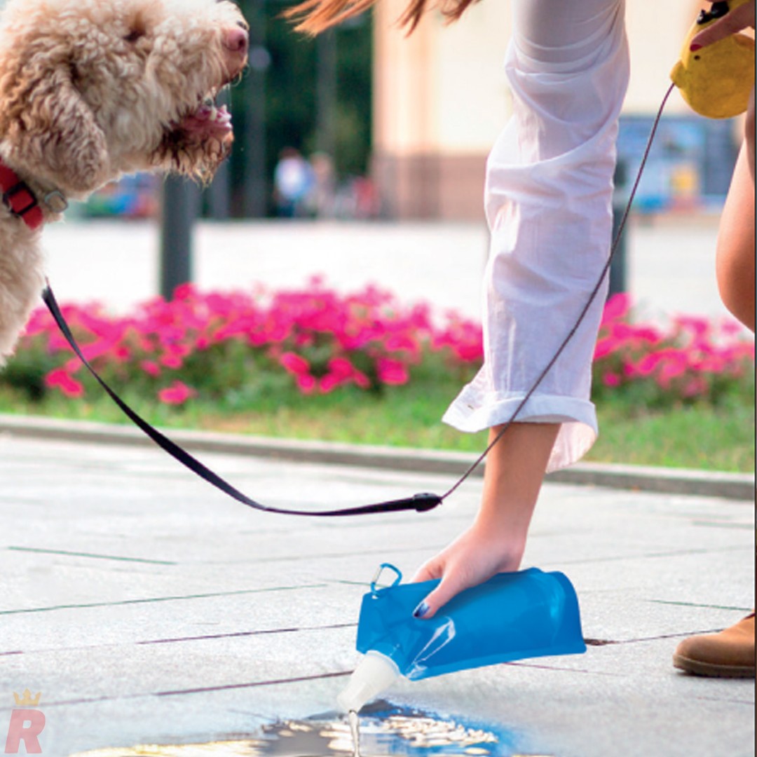 Bidón Plegable CASTER