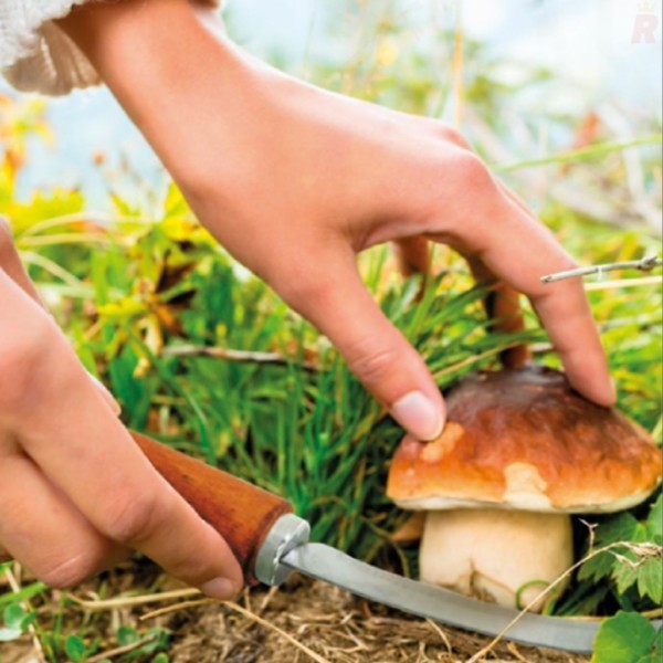 Cuchillo Hoja Curva AGRICULTURE