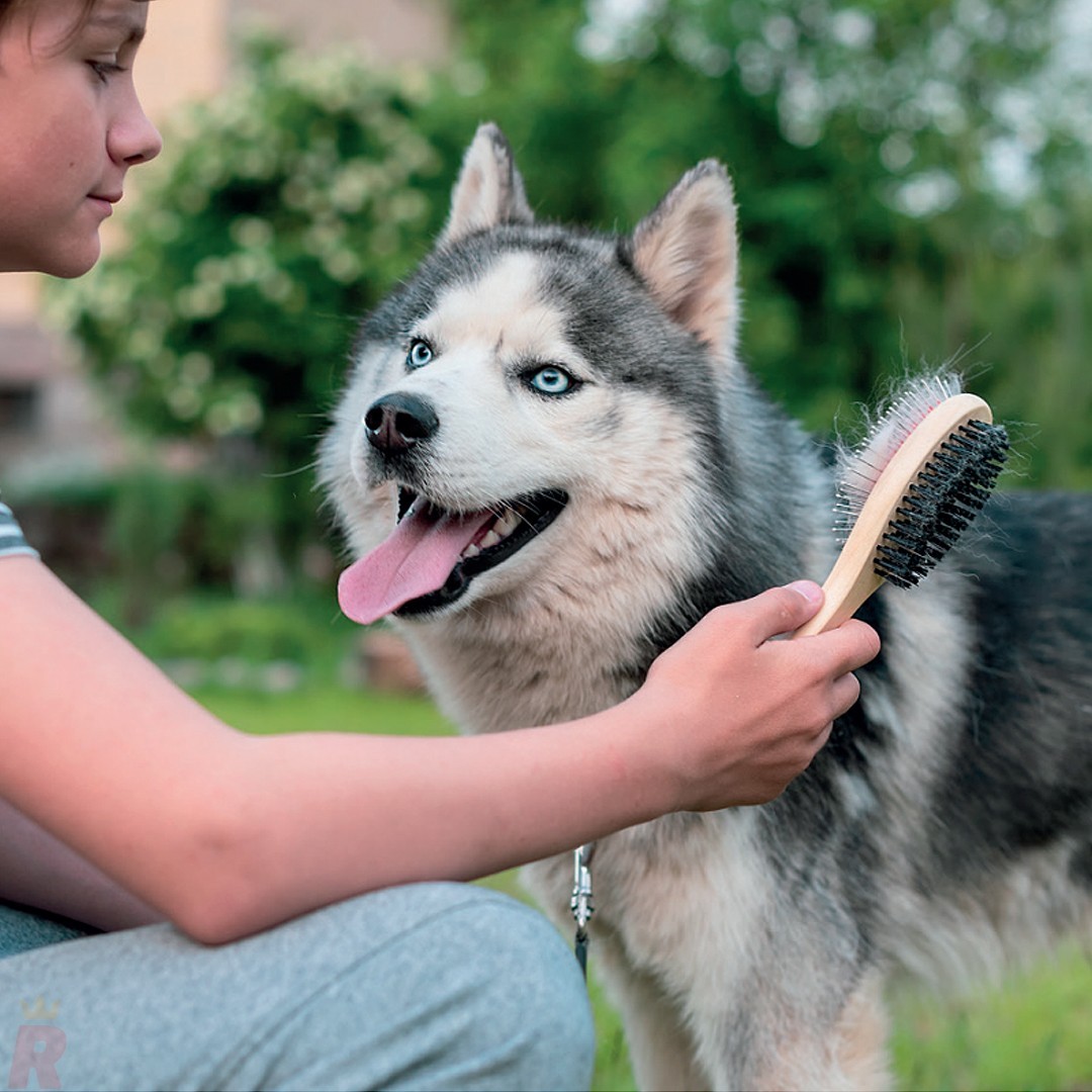 Cepillo Mascotas Dúo TOBY