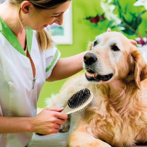 Cepillo Mascotas Dúo TOBY