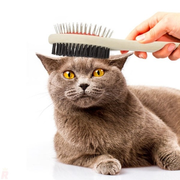 Cepillo Mascotas Dúo TOBY