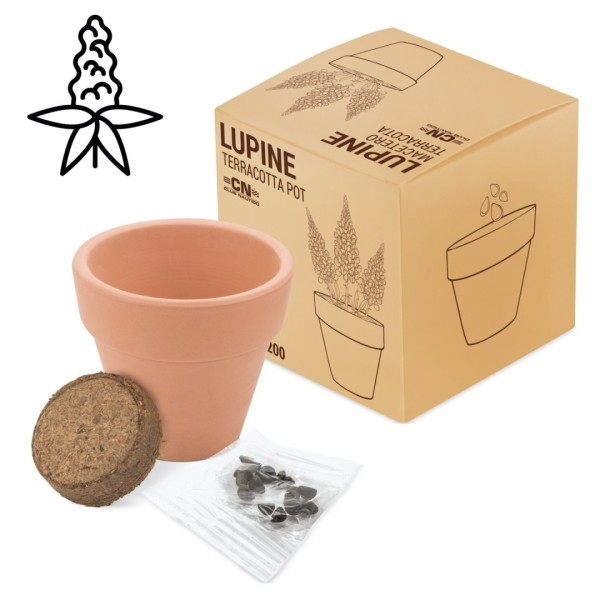 Maceta Terracota Semillas FLORAL Lupino - Ref. 10200-LUPINE Cifra