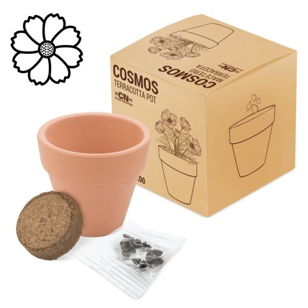 Maceta Terracota Semillas FLORAL