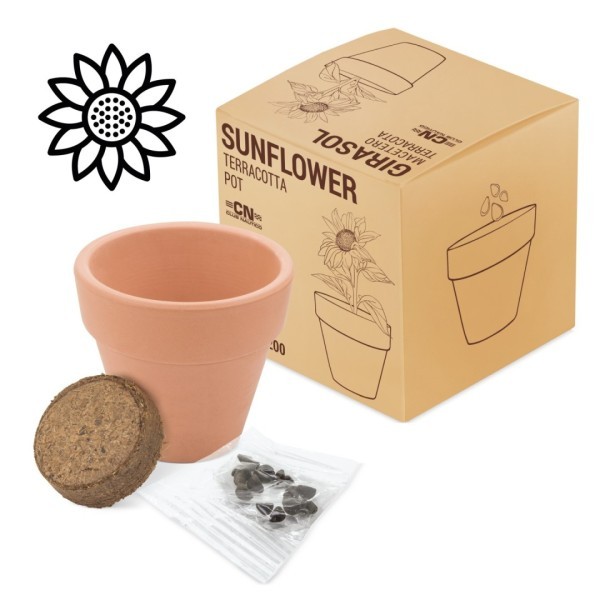 Maceta Terracota Semillas FLORAL