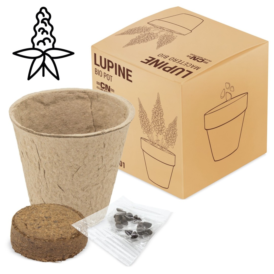 Maceta Biodegradable Semillas RAMILLETE Lupino - Ref. 10201-LUPINE Cifra