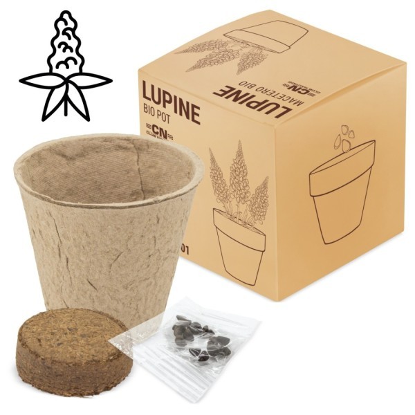 Maceta Biodegradable Semillas RAMILLETE Lupino - Ref. 10201-LUPINE Cifra
