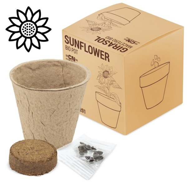 Maceta Biodegradable Semillas RAMILLETE