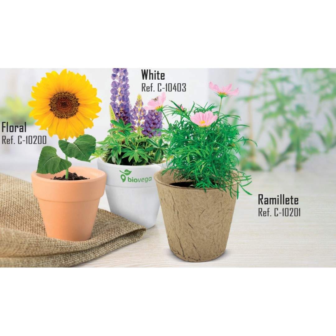 Maceta Biodegradable Semillas RAMILLETE