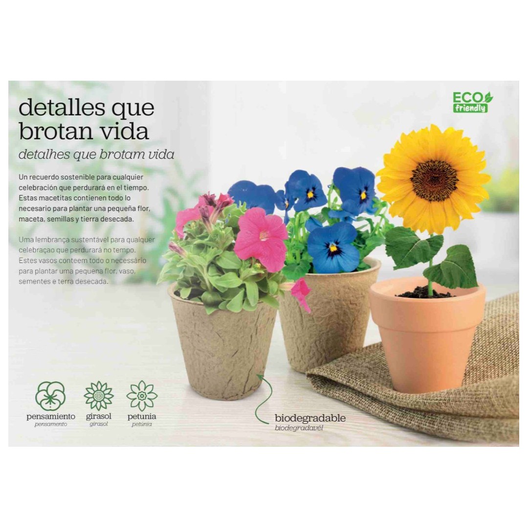Maceta Biodegradable Semillas RAMILLETE