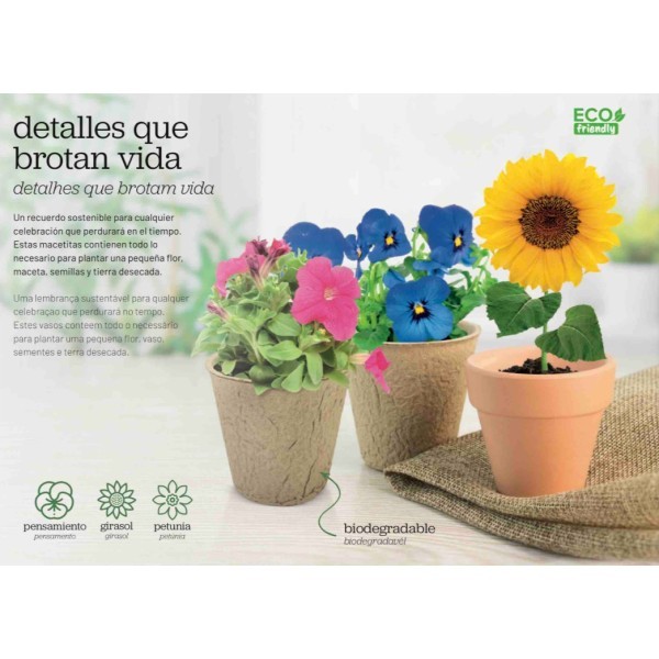 Maceta Biodegradable Semillas RAMILLETE