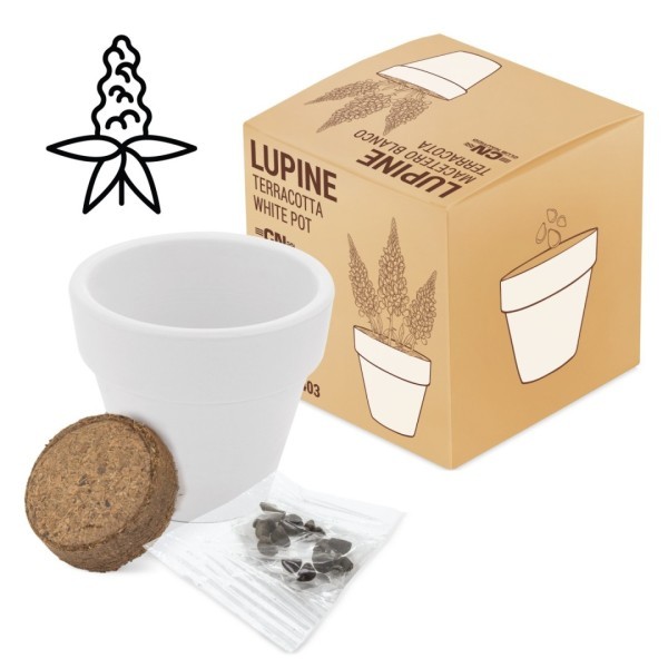 Maceta Terracota Semillas WHITE Lupino - Ref. 10403-LUPINE Cifra