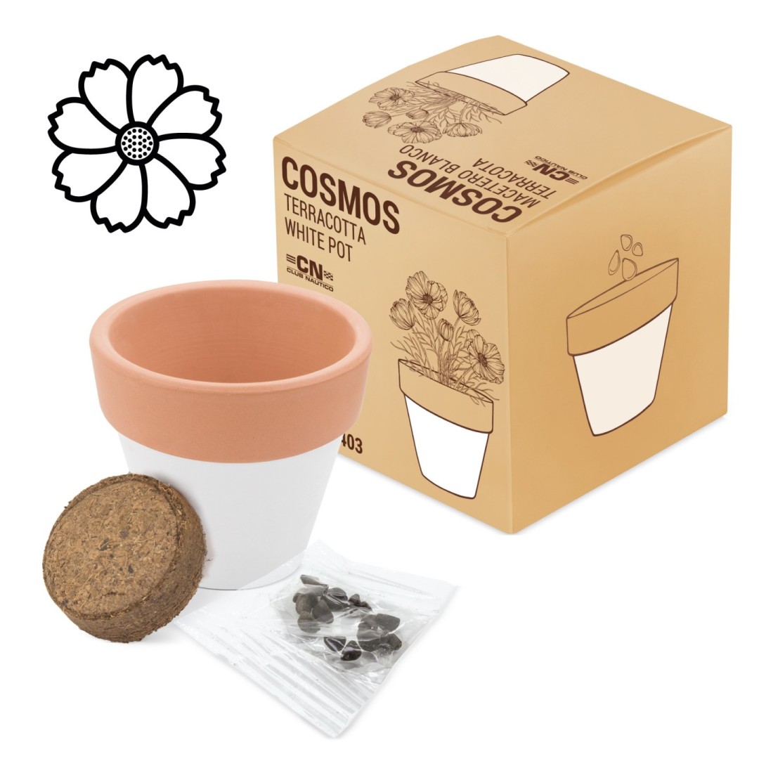 Maceta Terracota Semillas WHITE