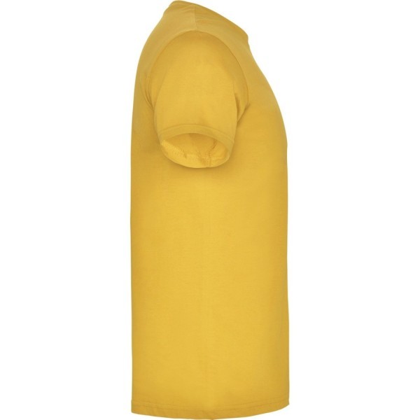 Camiseta Básica Adulto Unisex BEAGLE