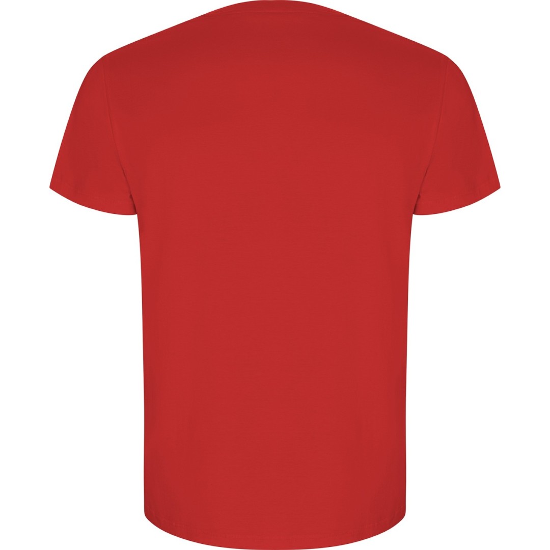 Camiseta Hombre ECO Algodón Orgánico GOLDEN