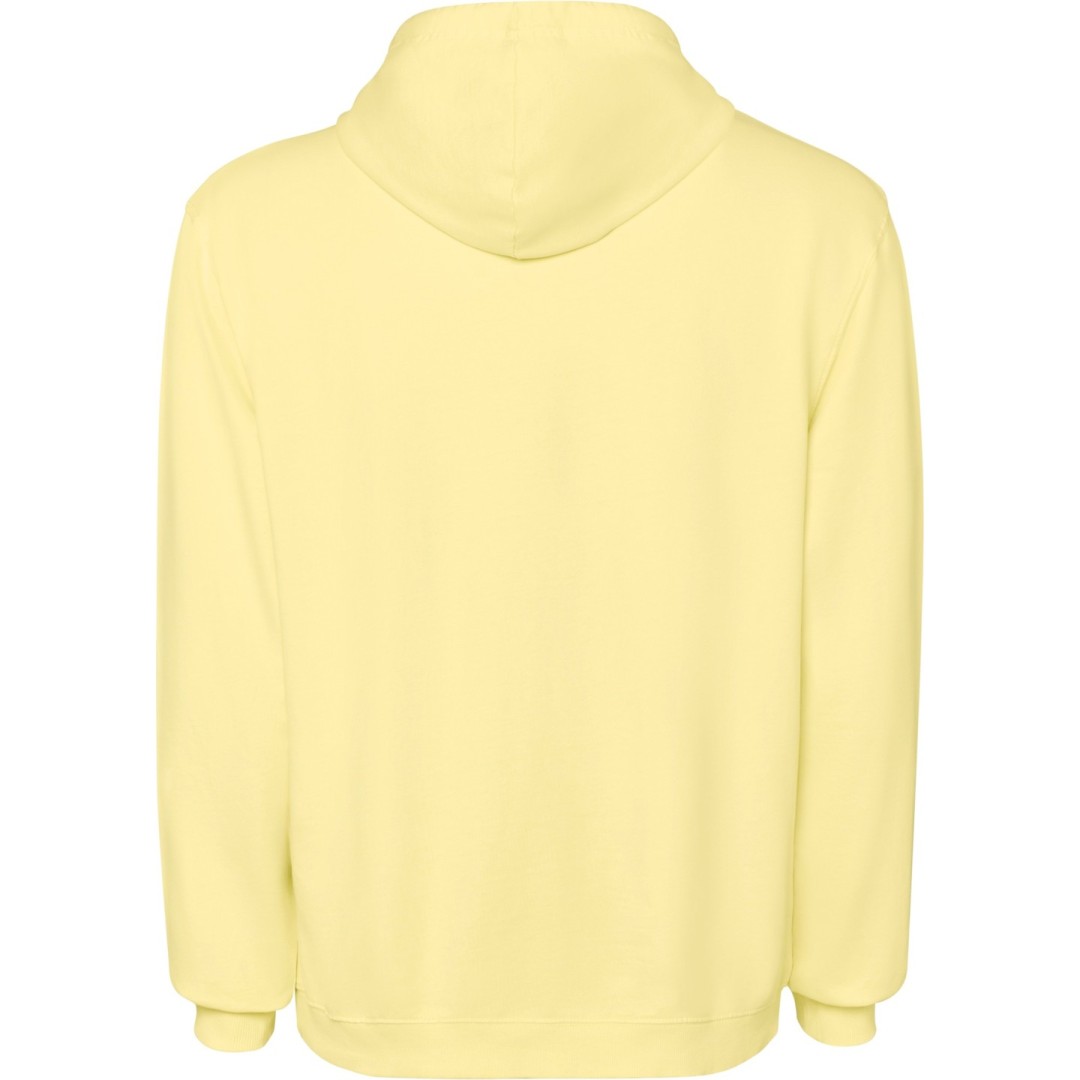 Sudadera Capucha Adulto Unisex 100% Algodón...