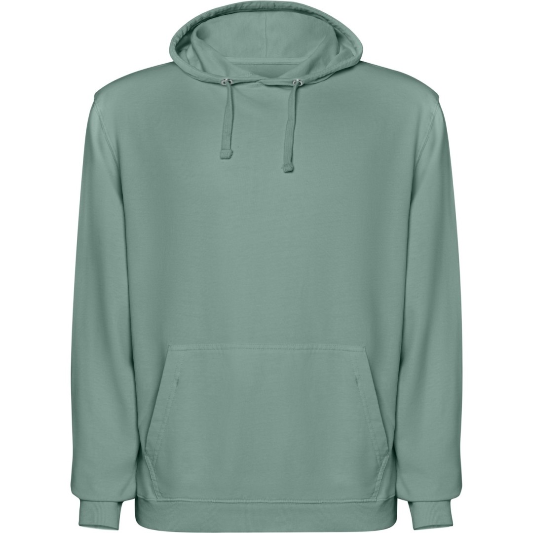 Sudadera Capucha Adulto Unisex 100% Algodón...