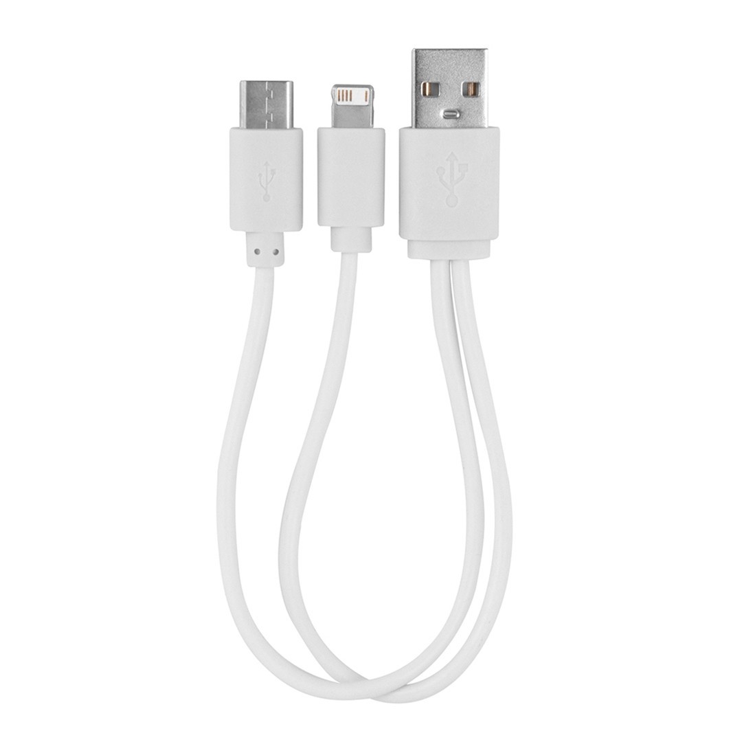 Cable 3 en 1 Beta