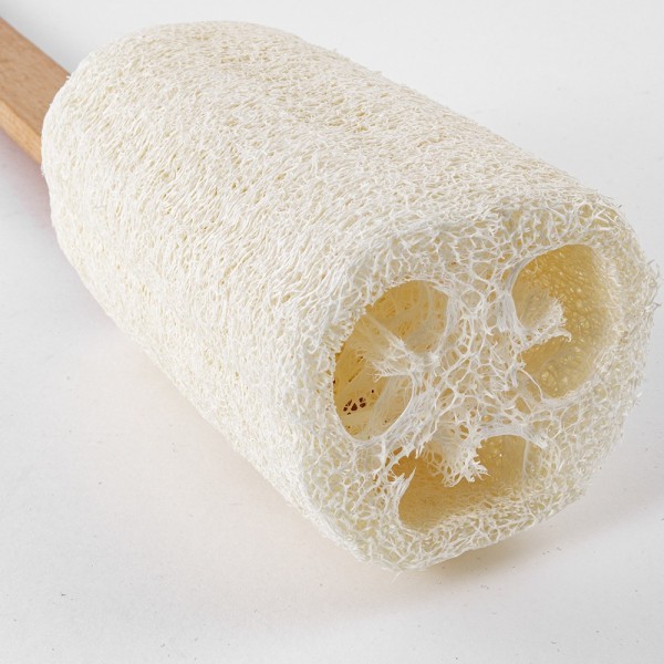 Esponja Loofah