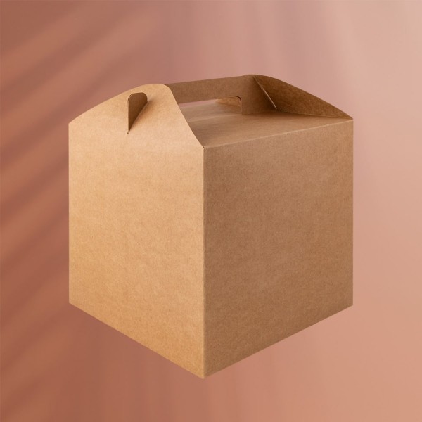 Caja de cartón Big Rely - 50677 Goya