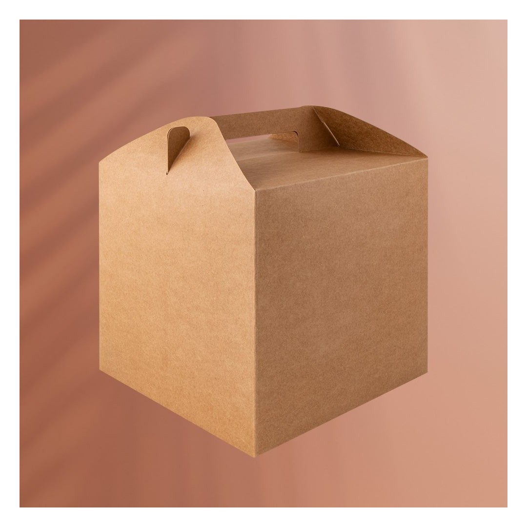 Caja de cartón Big Rely - 50677 Goya