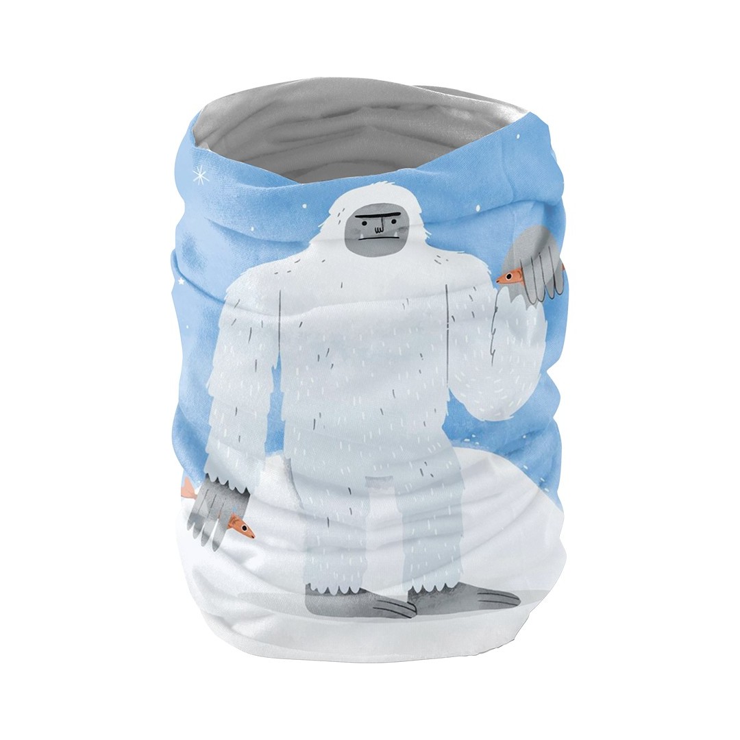 Braga Seba (Transporte aéreo)