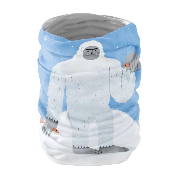 Braga Seba (Transporte aéreo)