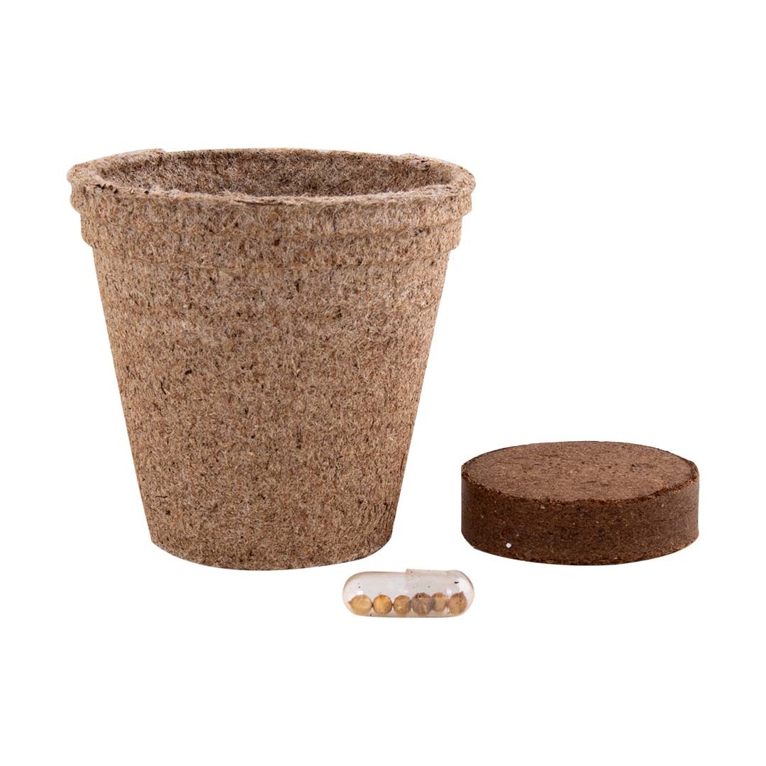 Maceta Biodegradable Ceres