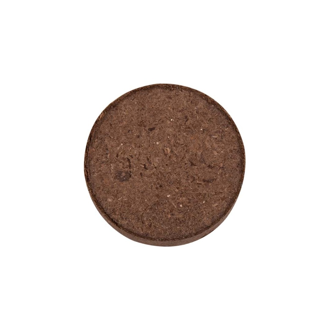 Maceta Biodegradable Ceres