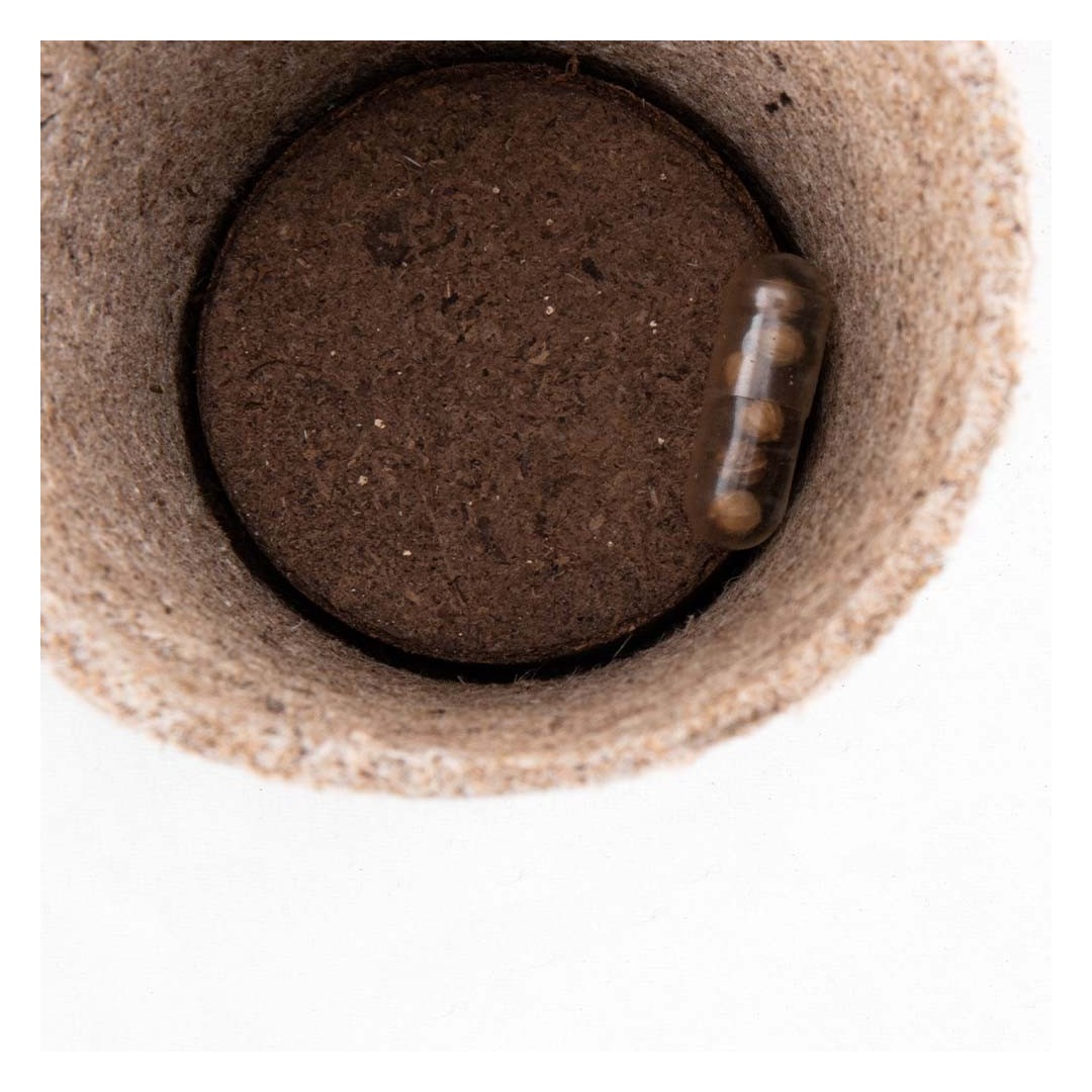 Maceta Biodegradable Ceres