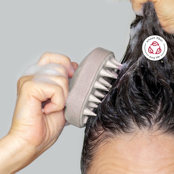 Emulsionador Clove - 53010 Goya 2