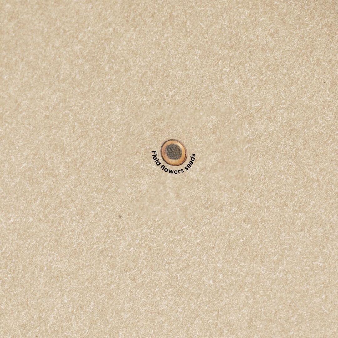 Bloc Notas Semillas Baupres