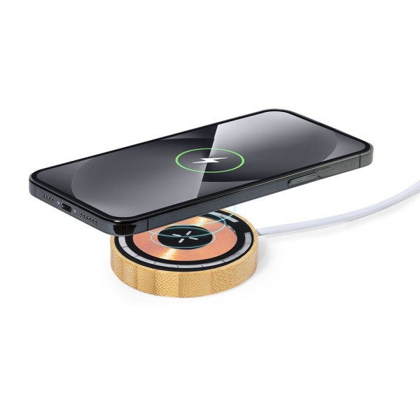 Cargador Ming - 21191/ST MKT 2