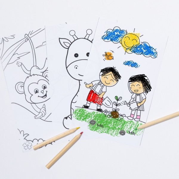 Set Clumber - Dibujos y lápices